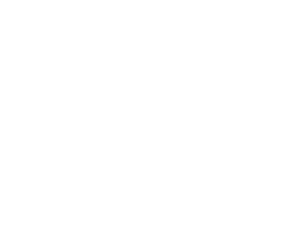 Leer logo