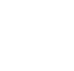 Ornate symbol logo